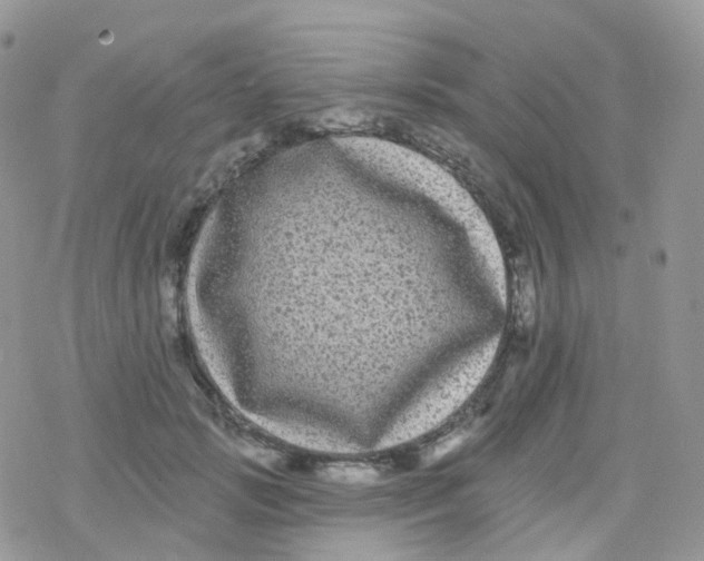 X0000078310749200611251533