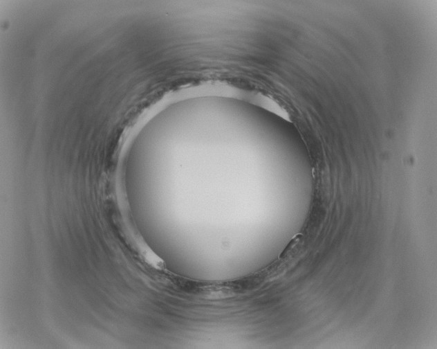 X0000078310750200611251533