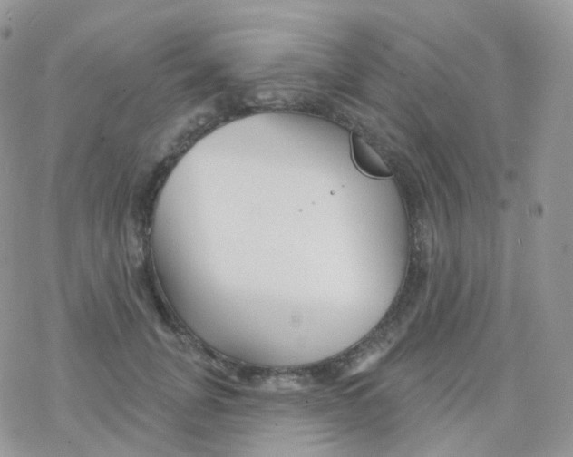 X0000078310751200611251533