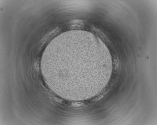 X0000078310753200611251533