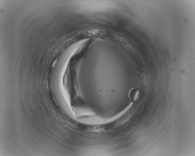 X0000078310754200611251533