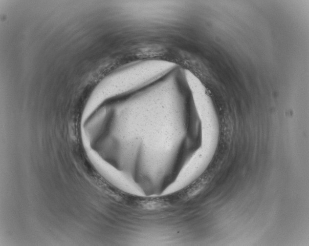 X0000078310755200611251533