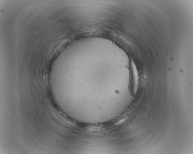 X0000078310756200611251533