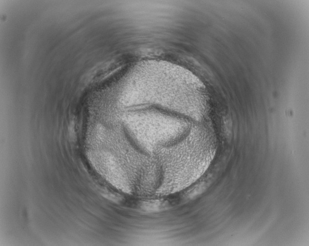 X0000078310757200611251533