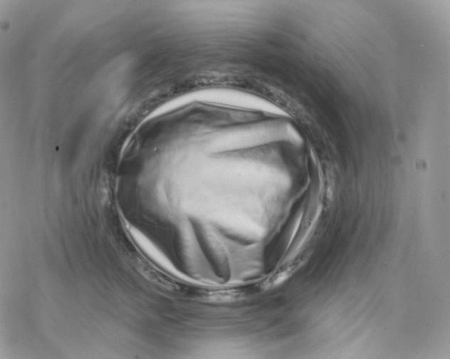 X0000078310758200611251533