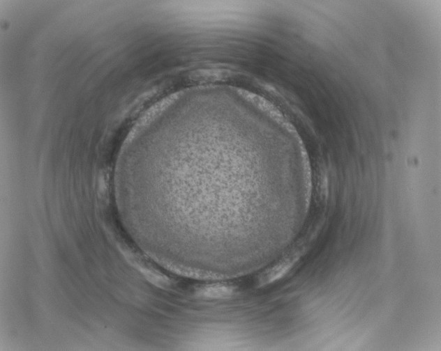 X0000078310759200611251533