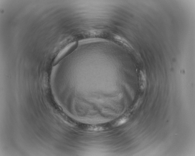 X0000078310760200611251533