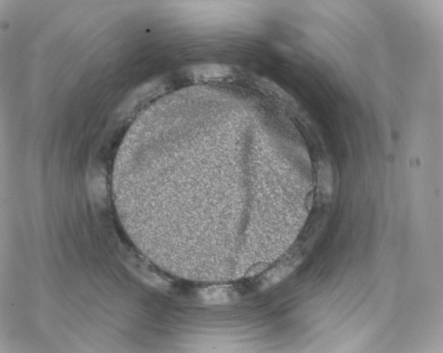 X0000078310761200611251533