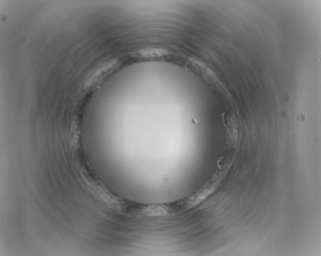 X0000078310762200611251533