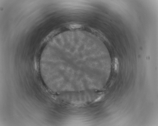 X0000078310763200611251533