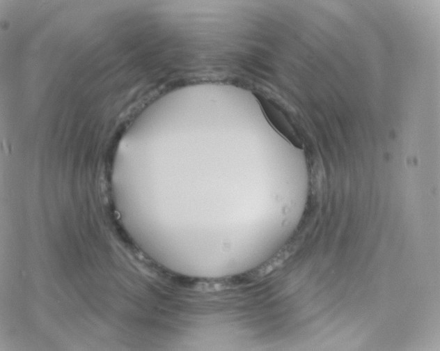 X0000078310764200611251533