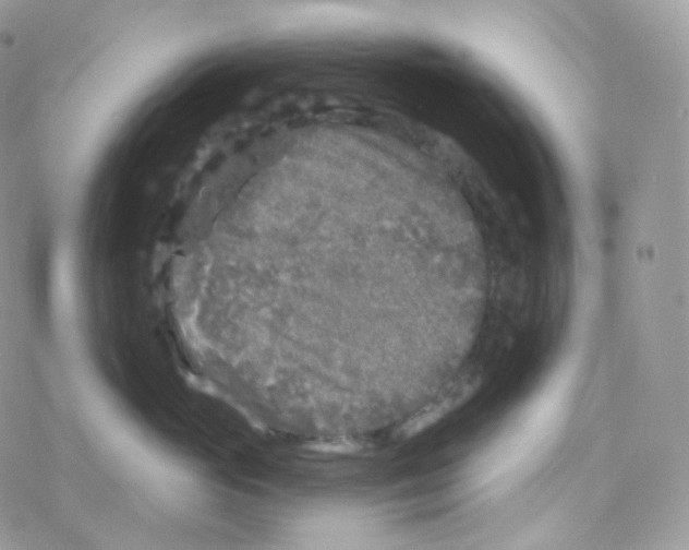 X0000078310765200611251533