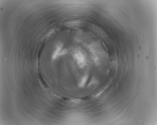 X0000078310767200611251533