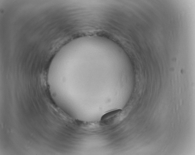 X0000078310768200611251533