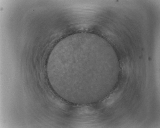 X0000078310769200611251532