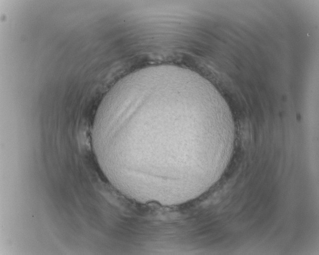 X0000078310770200611251532