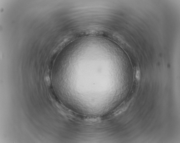 X0000078310771200611251532