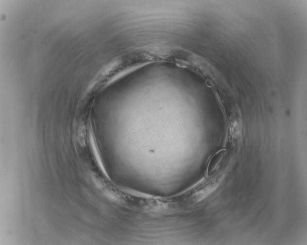 X0000078310772200611251532