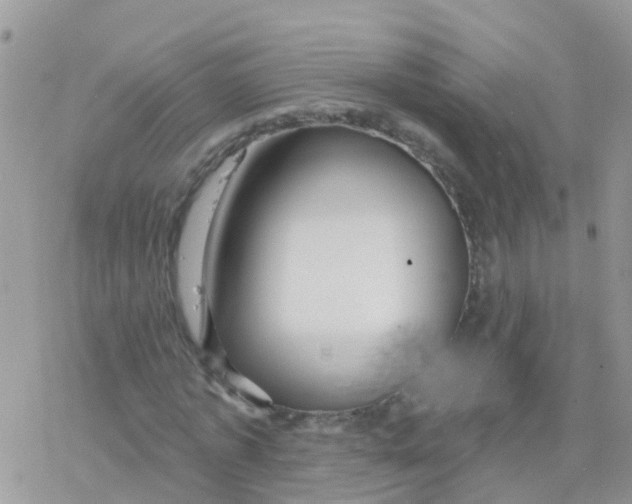 X0000078310773200611251532