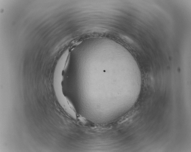 X0000078310774200611251532