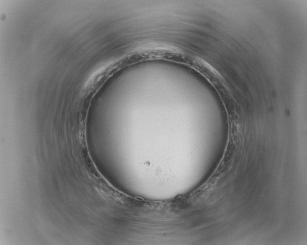 X0000078310775200611251532