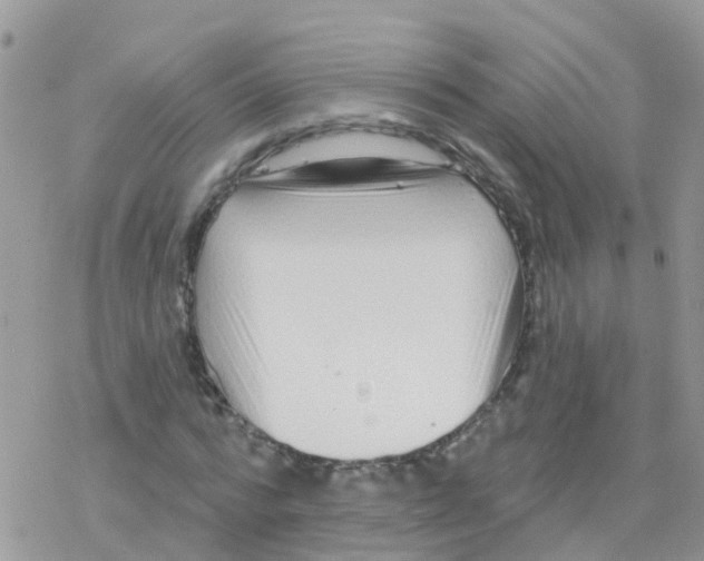 X0000078310776200611251532