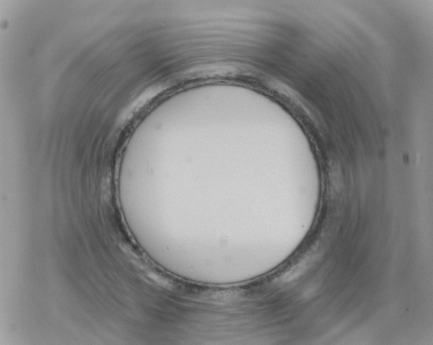 X0000078310778200611251532