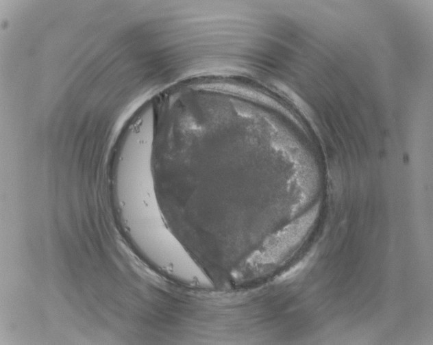 X0000078310779200611251532