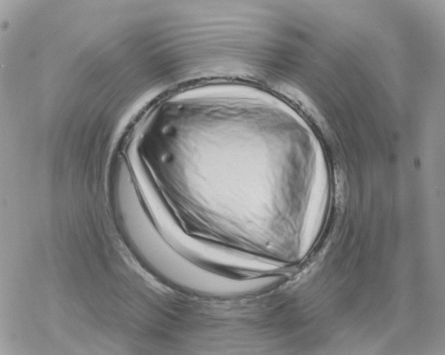 X0000078310780200611251532