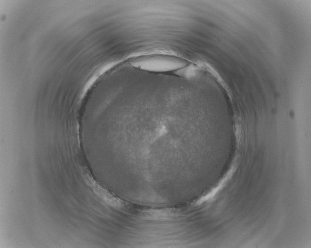 X0000078310781200611251532