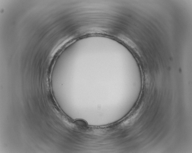 X0000078310782200611251532