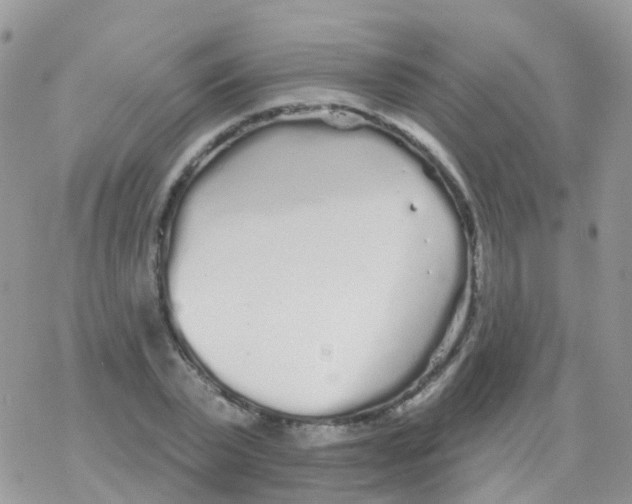 X0000078310783200611251532