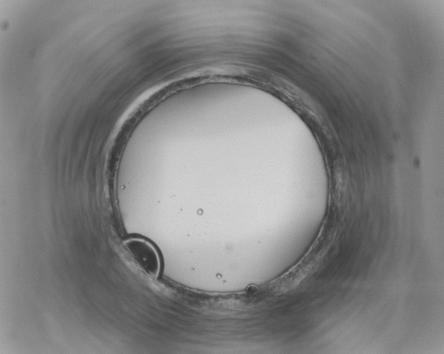 X0000078310784200611251532