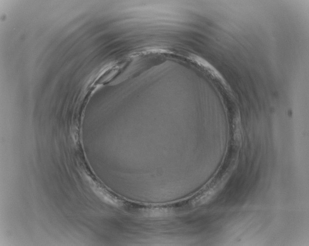 X0000078310785200611251532