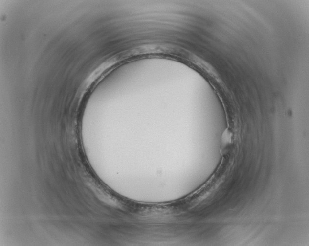 X0000078310786200611251532