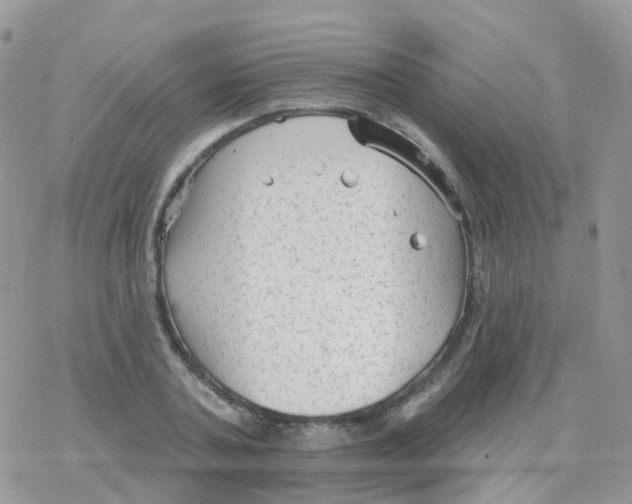 X0000078310787200611251532