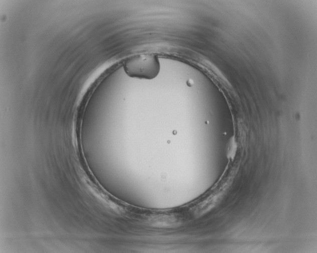 X0000078310788200611251532