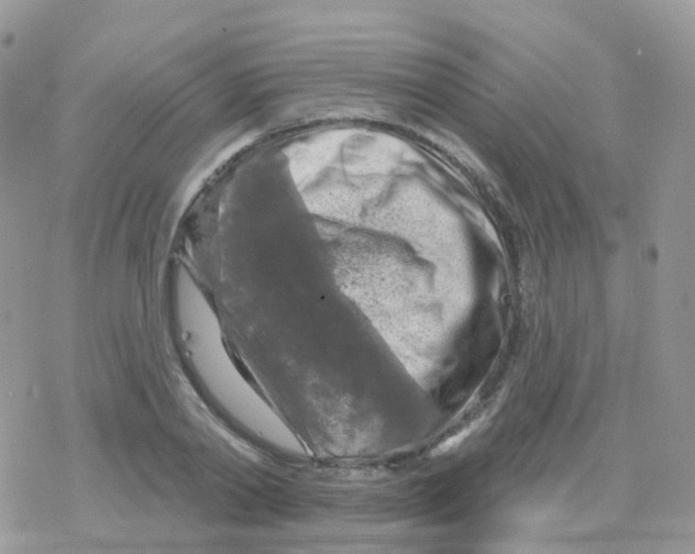 X0000078310790200611251532