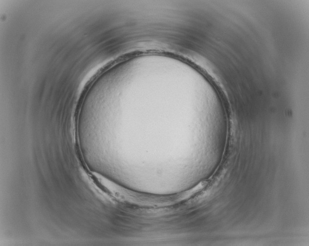 X0000078310791200611251532