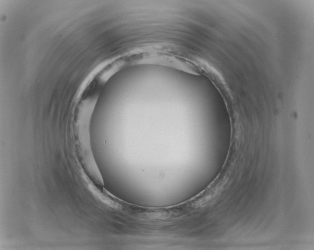 X0000078310792200611251532