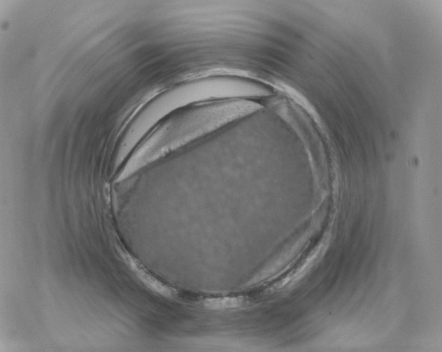 X0000078310793200611251532