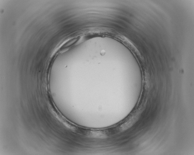 X0000078310794200611251532