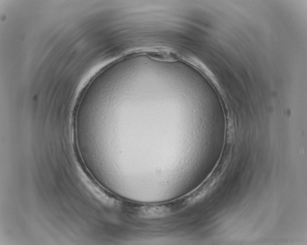 X0000078310795200611251532