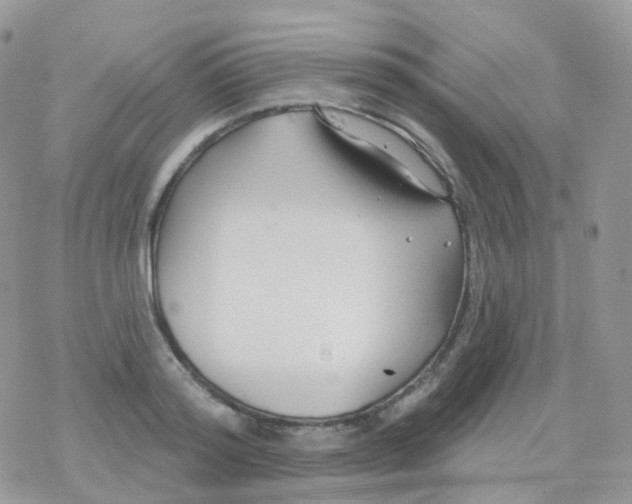 X0000078310796200611251532