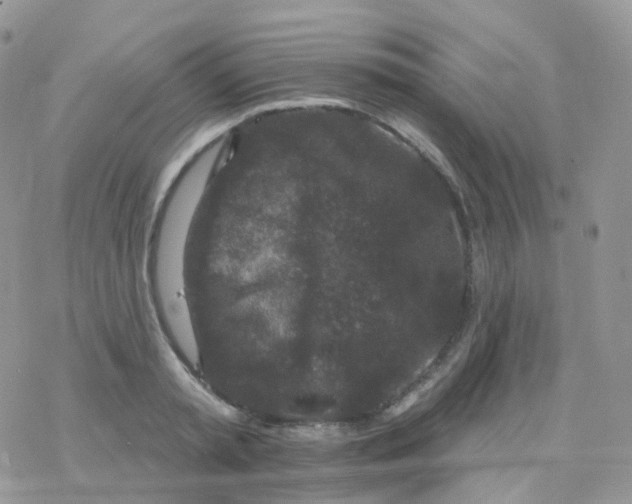 X0000078310797200611251532