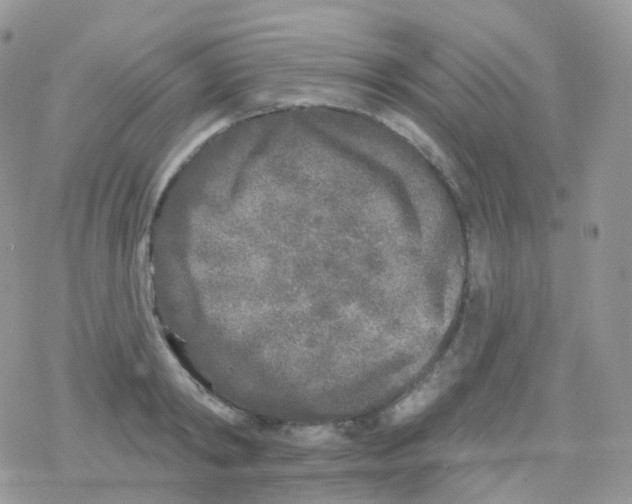 X0000078310798200611251532