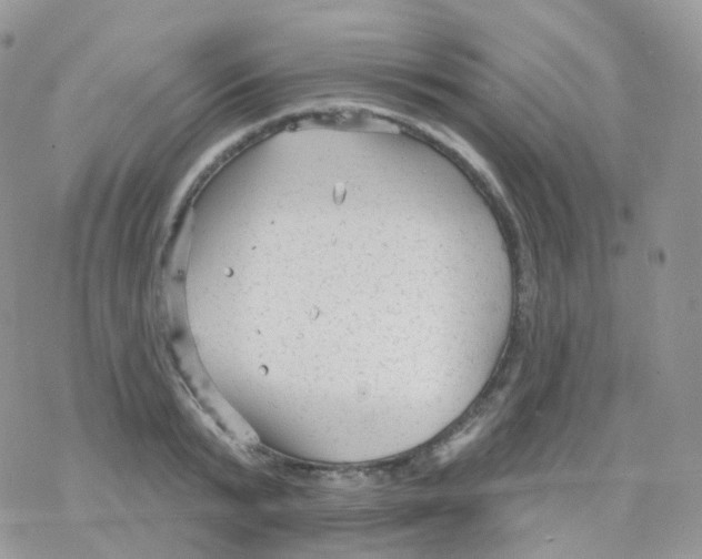 X0000078310799200611251532