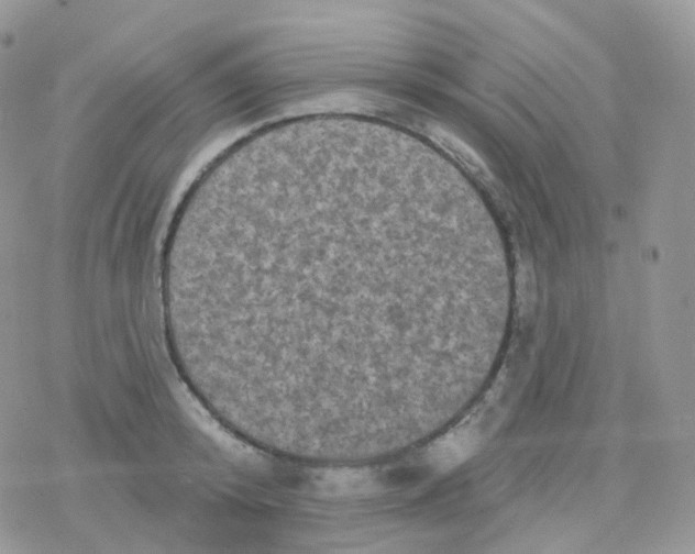 X0000078310800200611251532