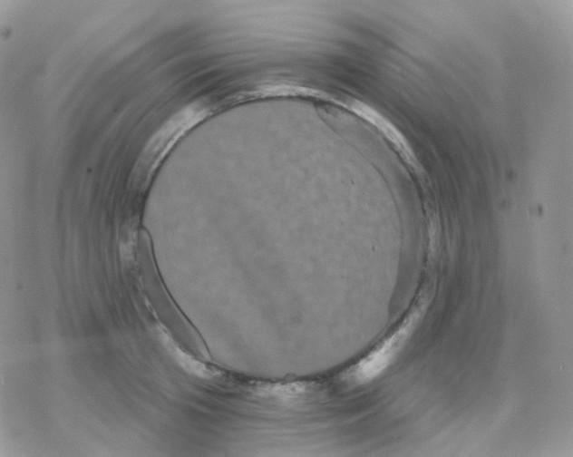 X0000078310801200611251532