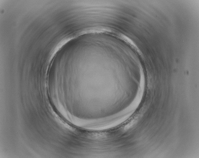 X0000078310802200611251532